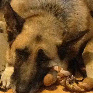 Meet your Posher, Rod